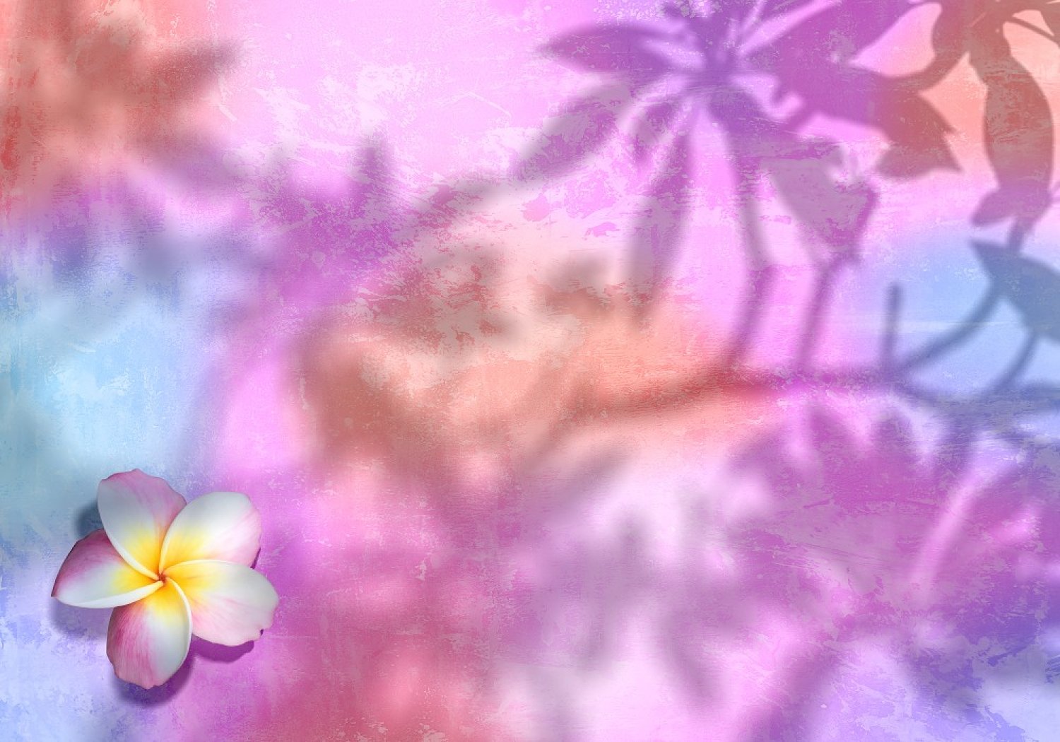 Aloha-Spirit: Das ultimative Mindset für mehr Harmonie und Gelassenheit!